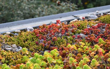 the cost of Drabblegate green roof installation