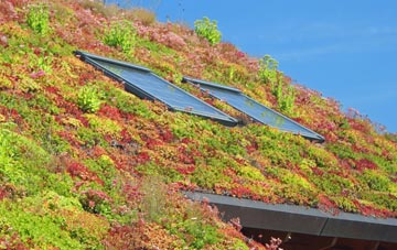Drabblegate living roof systems