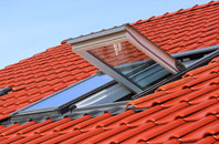 Drabblegate roof window